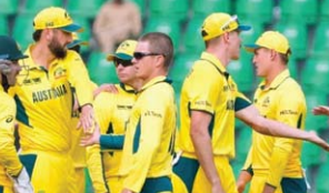cricket